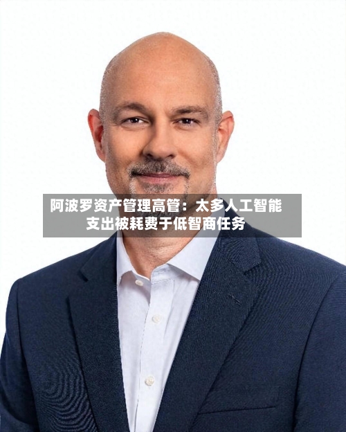 阿波罗资产管理高管:太多人工智能支出被耗费于低智商任务-第2张图片