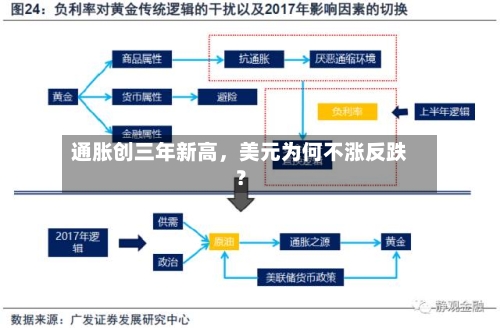 通胀创三年新高，美元为何不涨反跌？-第3张图片