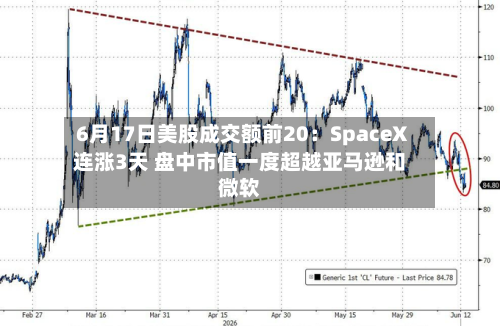 6月17日美股成交额前20:SpaceX连涨3天 盘中市值一度超越亚马逊和微软-第3张图片