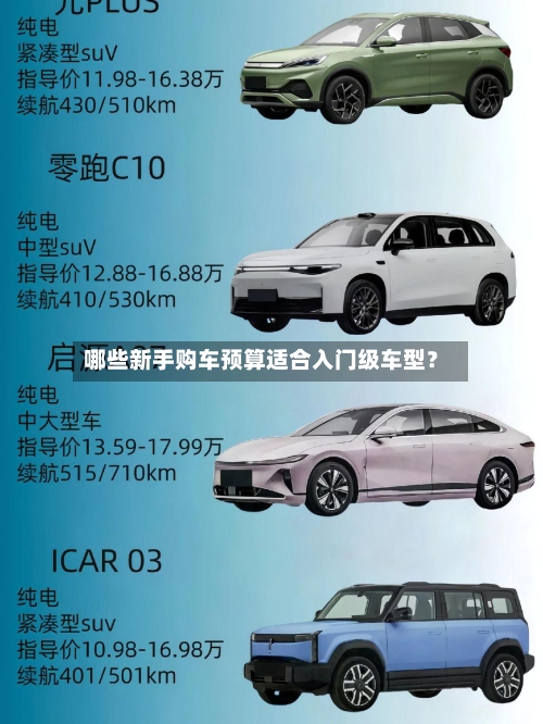哪些新手购车预算适合入门级车型?-第2张图片