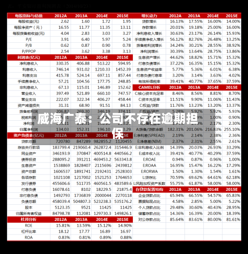威海广泰:公司不存在逾期担保-第2张图片