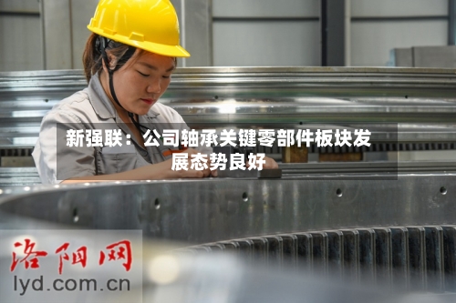 新强联:公司轴承关键零部件板块发展态势良好-第2张图片