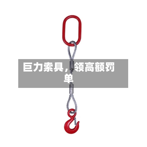 巨力索具，领高额罚单-第2张图片