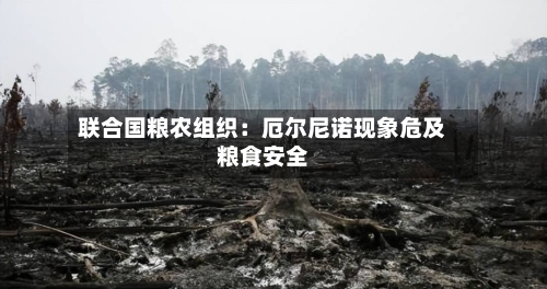 联合国粮农组织:厄尔尼诺现象危及粮食安全-第2张图片