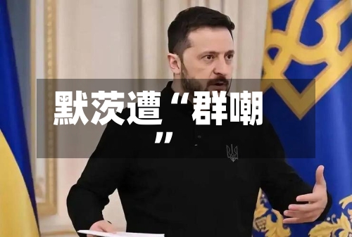 默茨遭“群嘲”-第2张图片