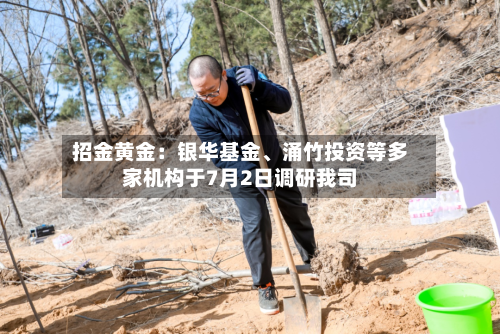 招金黄金：银华基金	、涌竹投资等多家机构于7月2日调研我司-第2张图片