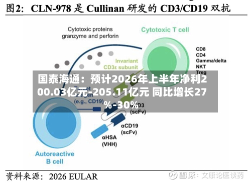 国泰海通：预计2026年上半年净利200.03亿元-205.11亿元 同比增长27%-30%-第3张图片