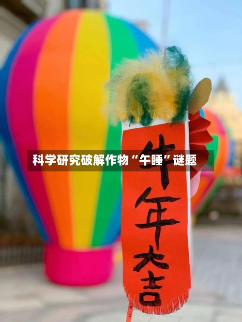 科学研究破解作物“午睡”谜题-第2张图片