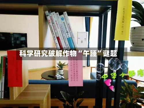 科学研究破解作物“午睡”谜题-第3张图片