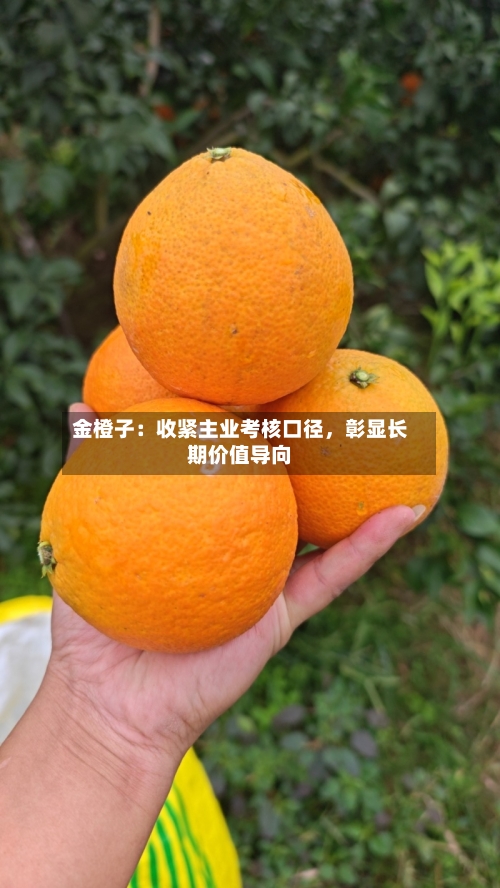 金橙子：收紧主业考核口径	，彰显长期价值导向-第2张图片
