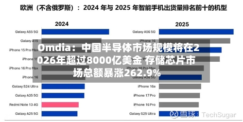 Omdia：中国半导体市场规模将在2026年超过8000亿美金 存储芯片市场总额暴涨262.9%-第2张图片