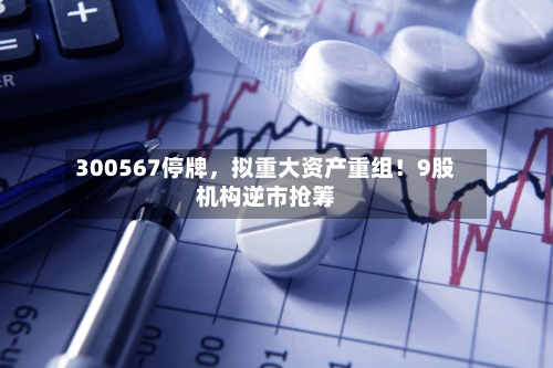 300567停牌，拟重大资产重组！9股机构逆市抢筹-第2张图片