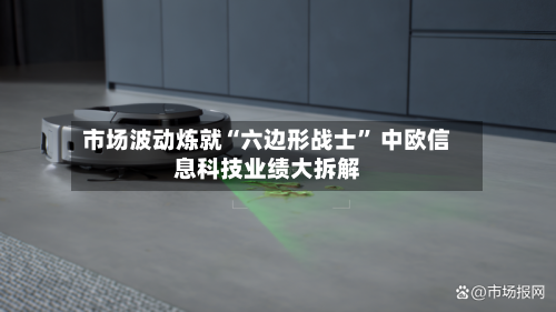 市场波动炼就“六边形战士	” 中欧信息科技业绩大拆解-第2张图片
