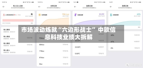 市场波动炼就“六边形战士	” 中欧信息科技业绩大拆解-第3张图片