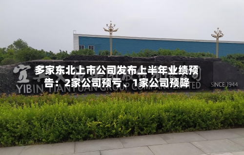 多家东北上市公司发布上半年业绩预告：2家公司预亏、1家公司预降-第3张图片