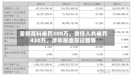 荃银高科被罚300万	，责任人共被罚430万，涉年报虚假记载等-第1张图片