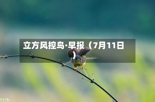 立方风控鸟·早报(7月11日)-第3张图片
