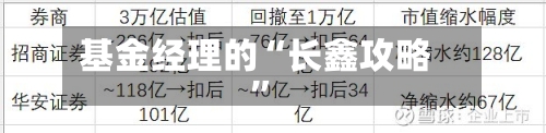 基金经理的“长鑫攻略”-第3张图片