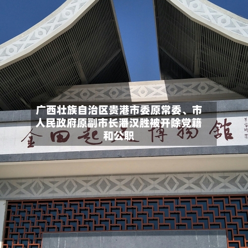 广西壮族自治区贵港市委原常委、市人民政府原副市长潘汉胜被开除党籍和公职-第3张图片