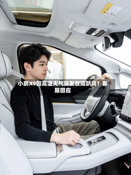 小鹏X9因高温天气突发故障趴窝?客服回应-第3张图片