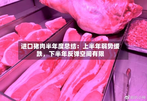 进口猪肉半年度总结：上半年弱势缓跌，下半年反弹空间有限-第3张图片
