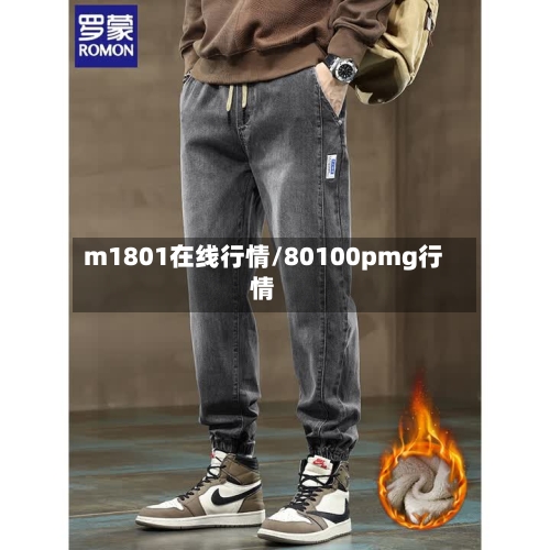 m1801在线行情/80100pmg行情-第1张图片