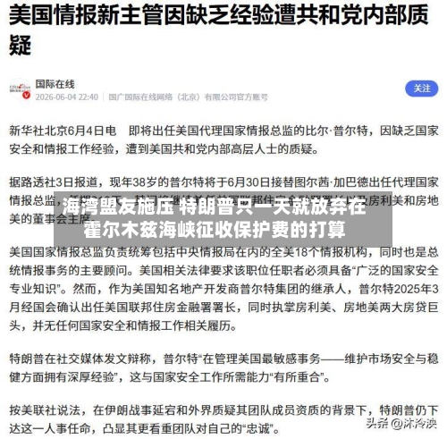 海湾盟友施压 特朗普只一天就放弃在霍尔木兹海峡征收保护费的打算