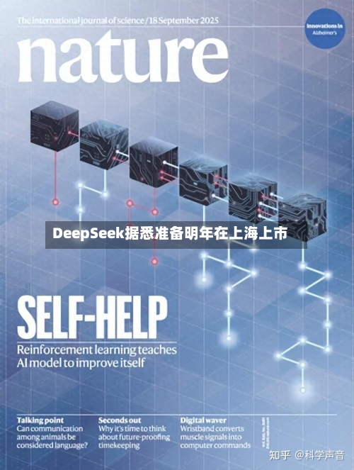 DeepSeek据悉准备明年在上海上市-第2张图片