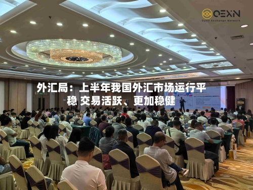 外汇局：上半年我国外汇市场运行平稳 交易活跃、更加稳健-第3张图片