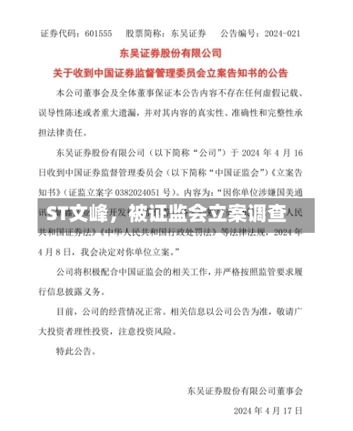 ST文峰，被证监会立案调查-第2张图片