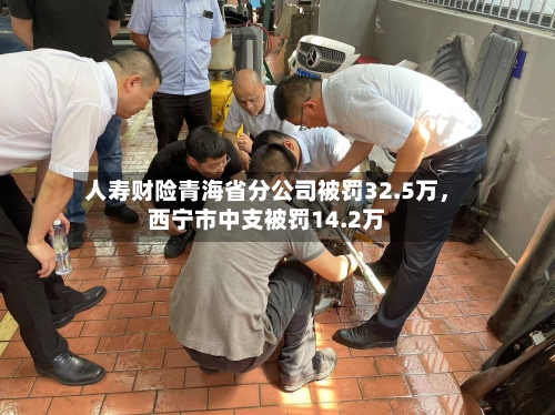 人寿财险青海省分公司被罚32.5万,西宁市中支被罚14.2万