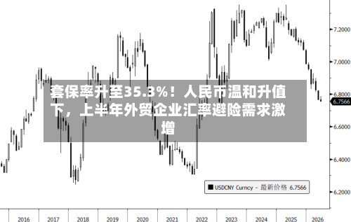 套保率升至35.3%！人民币温和升值下，上半年外贸企业汇率避险需求激增-第3张图片