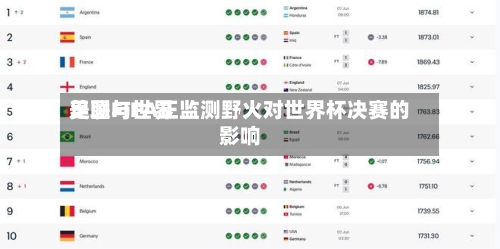 美国与世界
足联FIFA正监测野火对世界杯决赛的影响