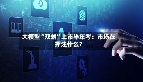 大模型“双雄”上市半年考:市场在押注什么?