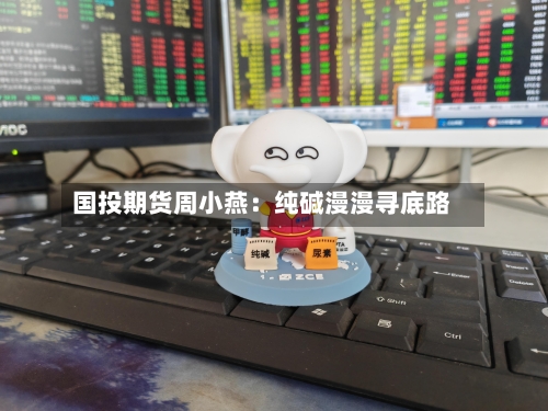 国投期货周小燕:纯碱漫漫寻底路-第3张图片