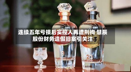连续五年亏损后实控人再遭刑拘 慧辰股份财务造假旧案引关注-第3张图片