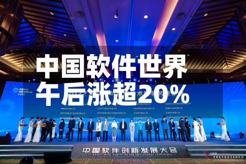 中国软件世界
午后涨超20%
