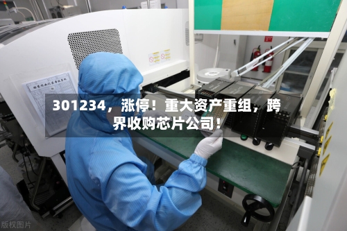 301234，涨停！重大资产重组	，跨界收购芯片公司！-第2张图片
