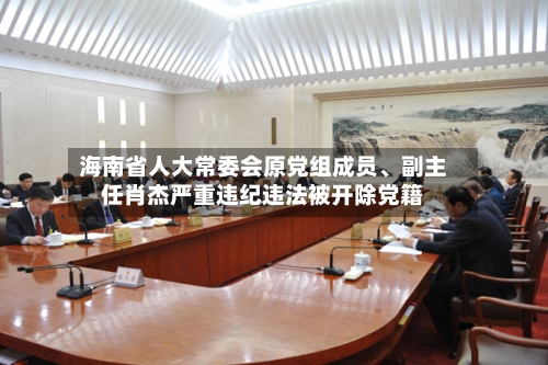 海南省人大常委会原党组成员	、副主任肖杰严重违纪违法被开除党籍-第2张图片