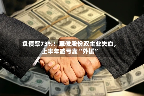 负债率73%!翠微股份双主业失血,上半年减亏靠“外援”