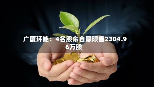 广厦环能:4名股东自愿限售2304.96万股