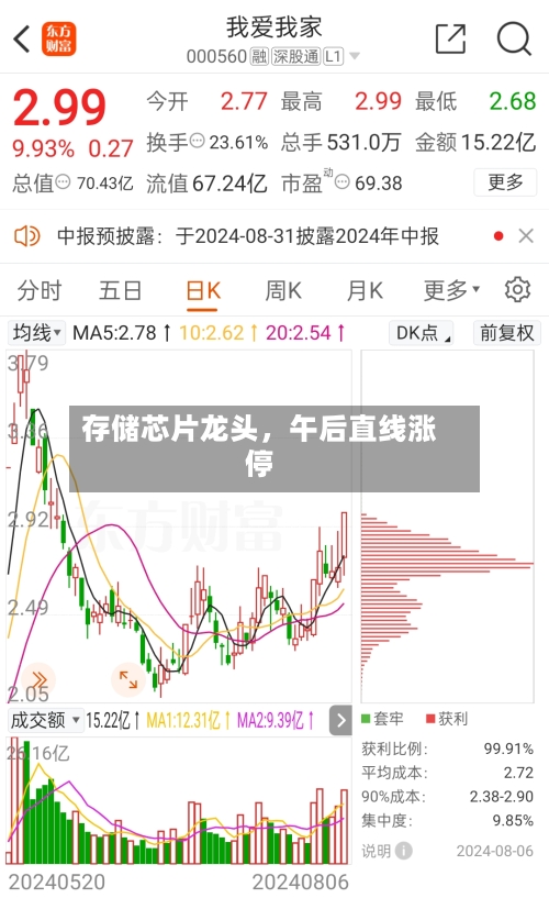 存储芯片龙头,午后直线涨停
