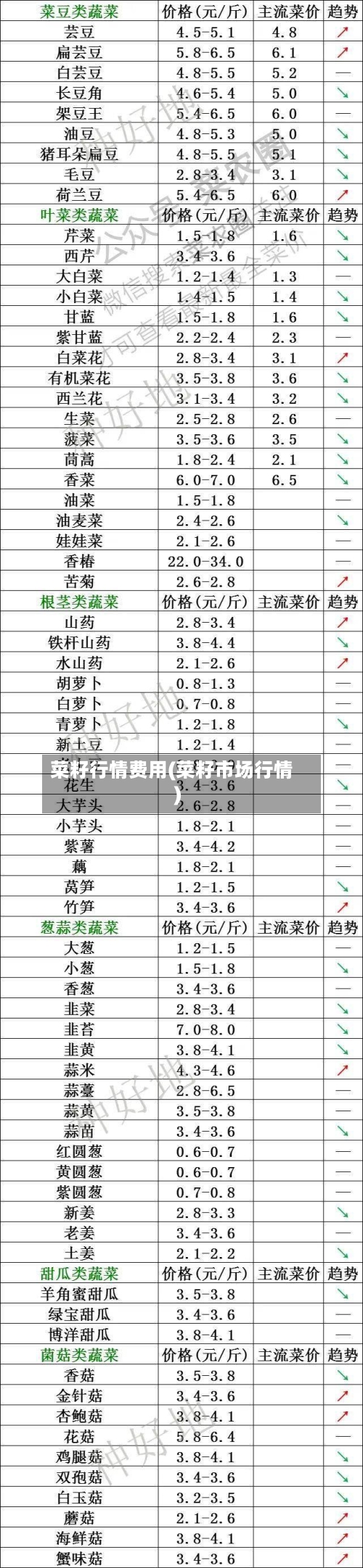 菜籽行情费用(菜籽市场行情)-第1张图片