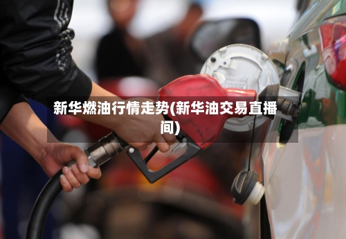 新华燃油行情走势(新华油交易直播间)