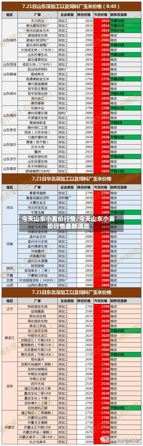 今天山东小麦价行情/今天山东小麦价行情最新消息-第2张图片