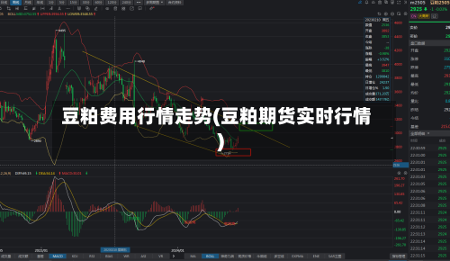 豆粕费用行情走势(豆粕期货实时行情)-第3张图片