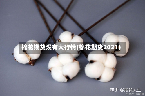 棉花期货没有大行情(棉花期货2021)