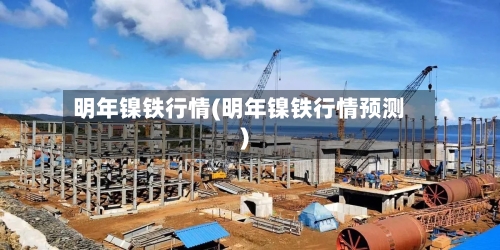 明年镍铁行情(明年镍铁行情预测)
