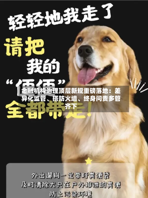 金融机构治理顶层新规重磅落地：差异化监管、搭防火墙	、终身问责多管齐下-第2张图片
