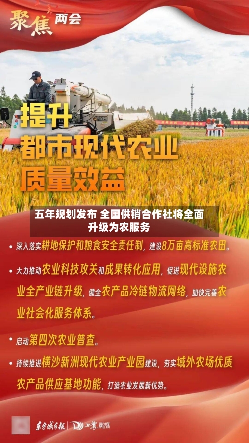 五年规划发布 全国供销合作社将全面升级为农服务-第3张图片